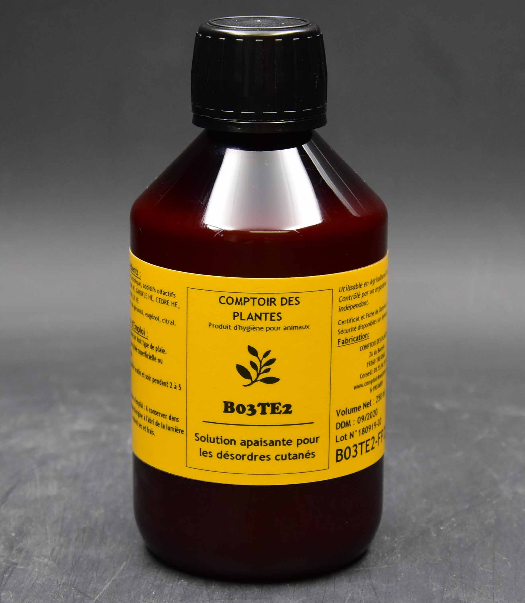 Plaies et boiteries - Bovins